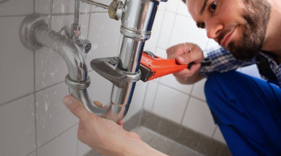 Professional Leak Detection in Frontenac, MN