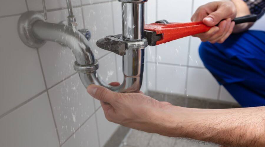 Leak Detection Services in Frontenac, MN